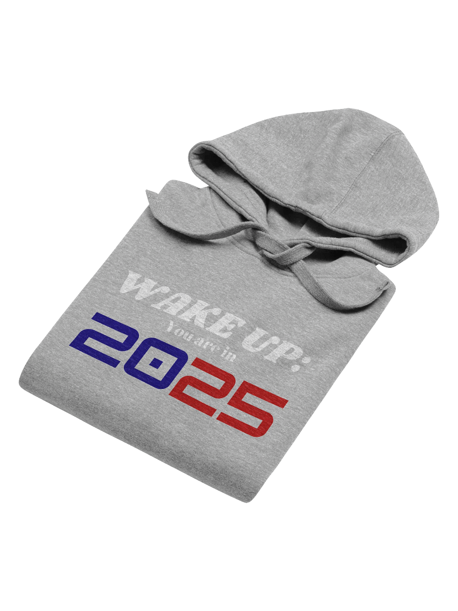 Wake up: You Are In 2025 Unisex Premium Hoodie product image (70)