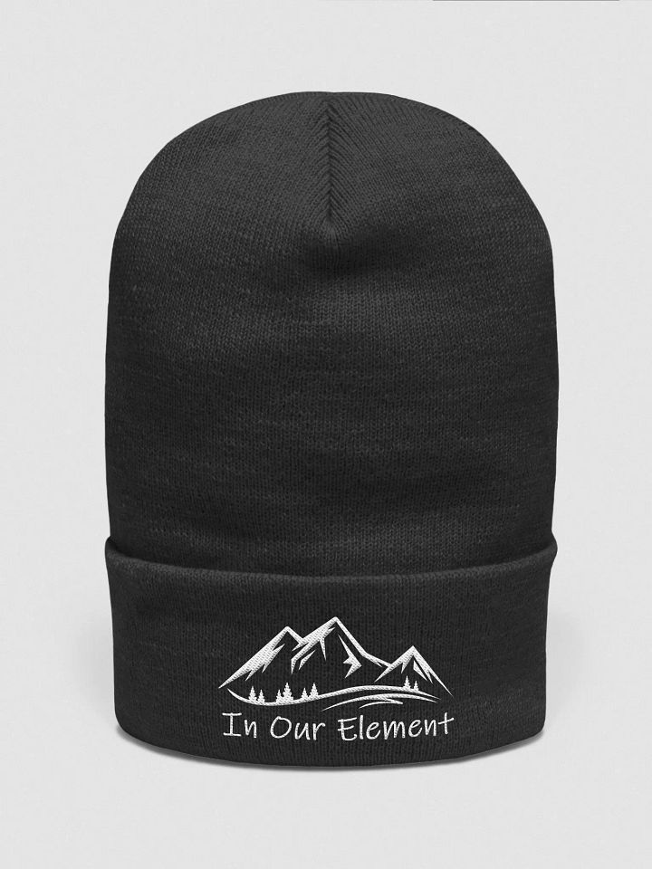 IOE Beanie! product image (1)