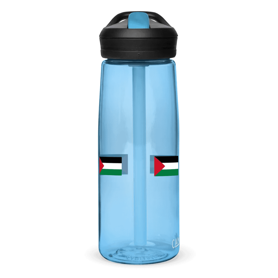 FREE PALESTINE sports bottle product image (2)