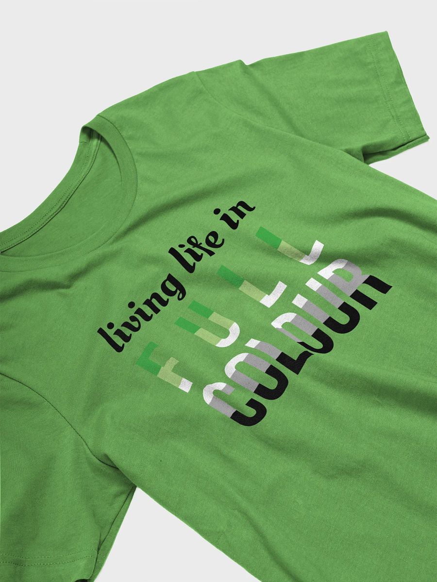 life in full colour aromantic t-shirt product image (3)