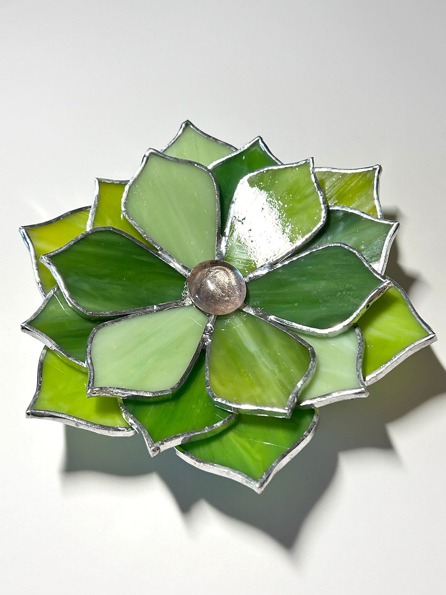 Lush Green Stained Glass Succulent product image (4)