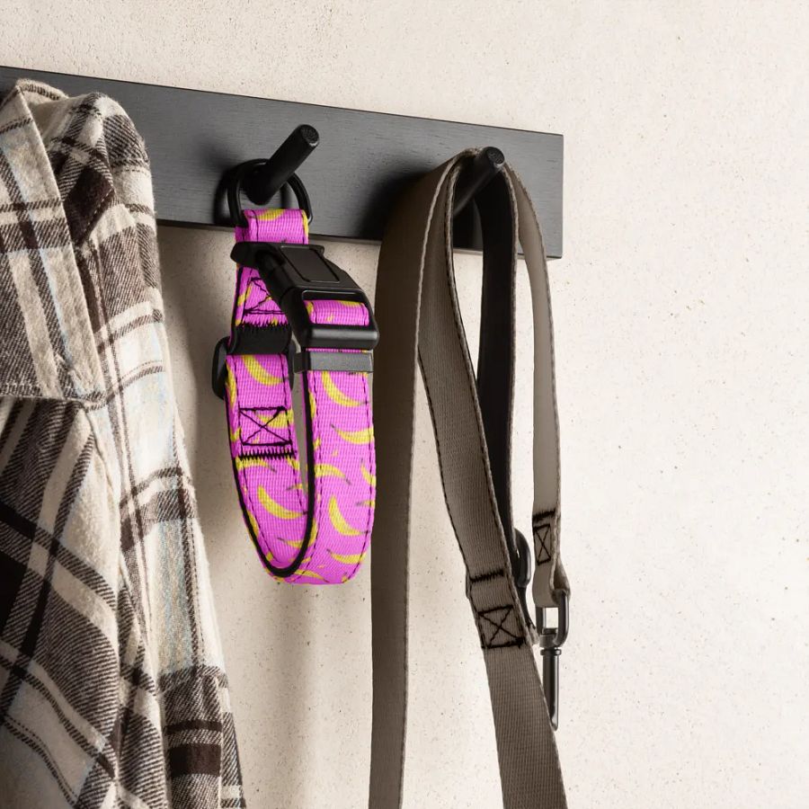 Banana pet collar product image (2)