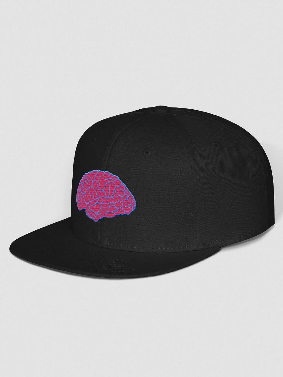 BrainCAP Snapback Hat product image (2)