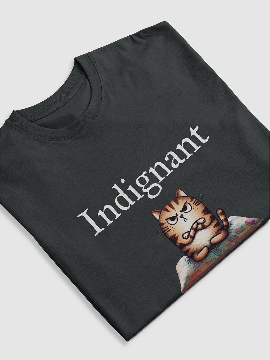 Indignant Tee product image (3)