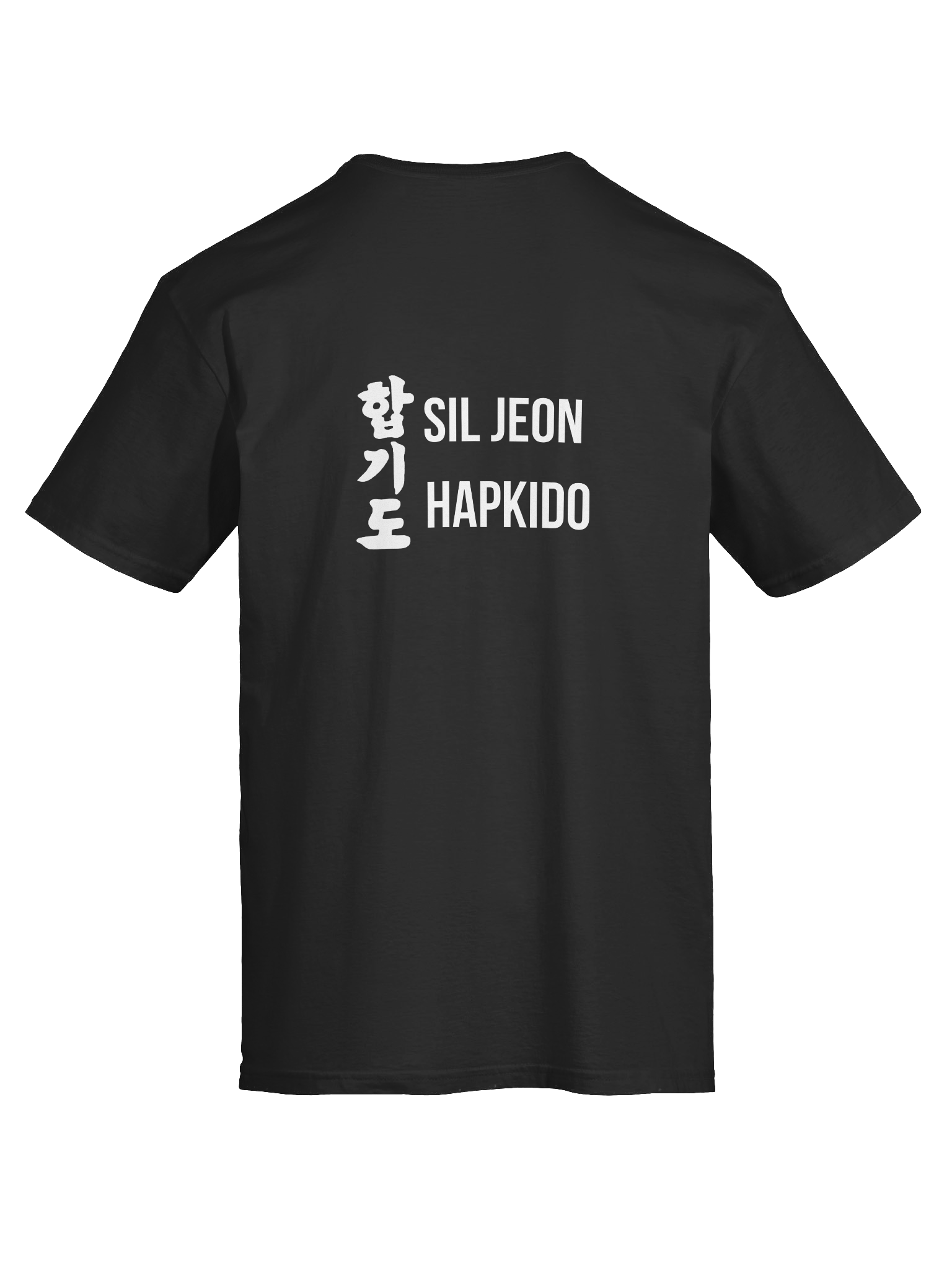 SilJeon Hapkido Organization Shirt! product image (4)