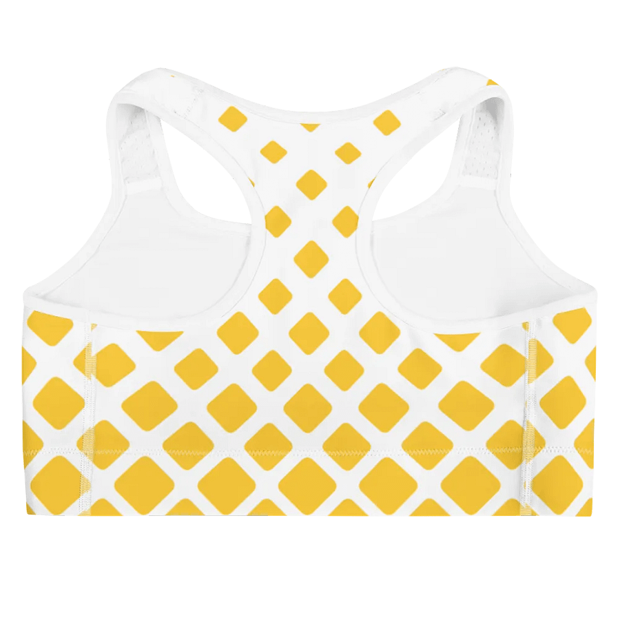 Tizzy Sports Bra product image (8)