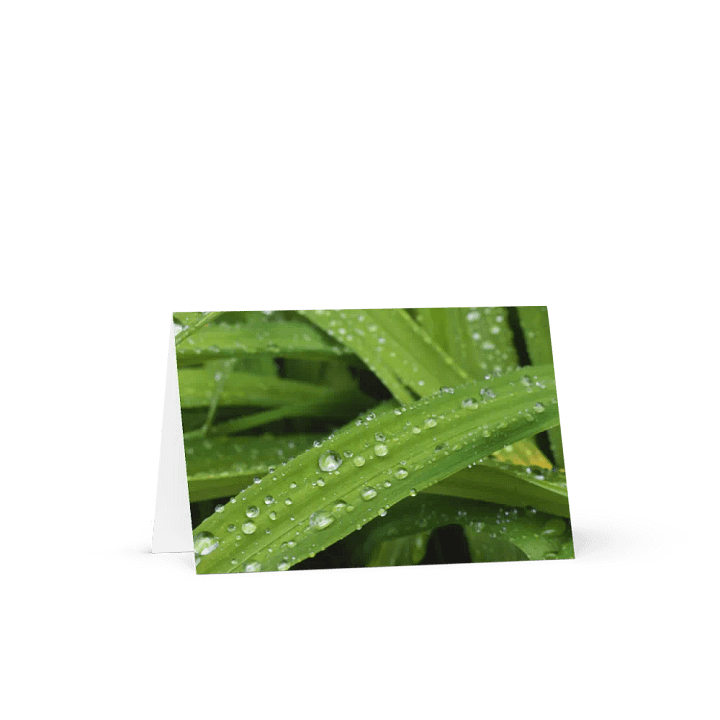 Green leaves with raindrops Greeting card, Crocosmia leaves with raindrops Greeting Card product image (1)