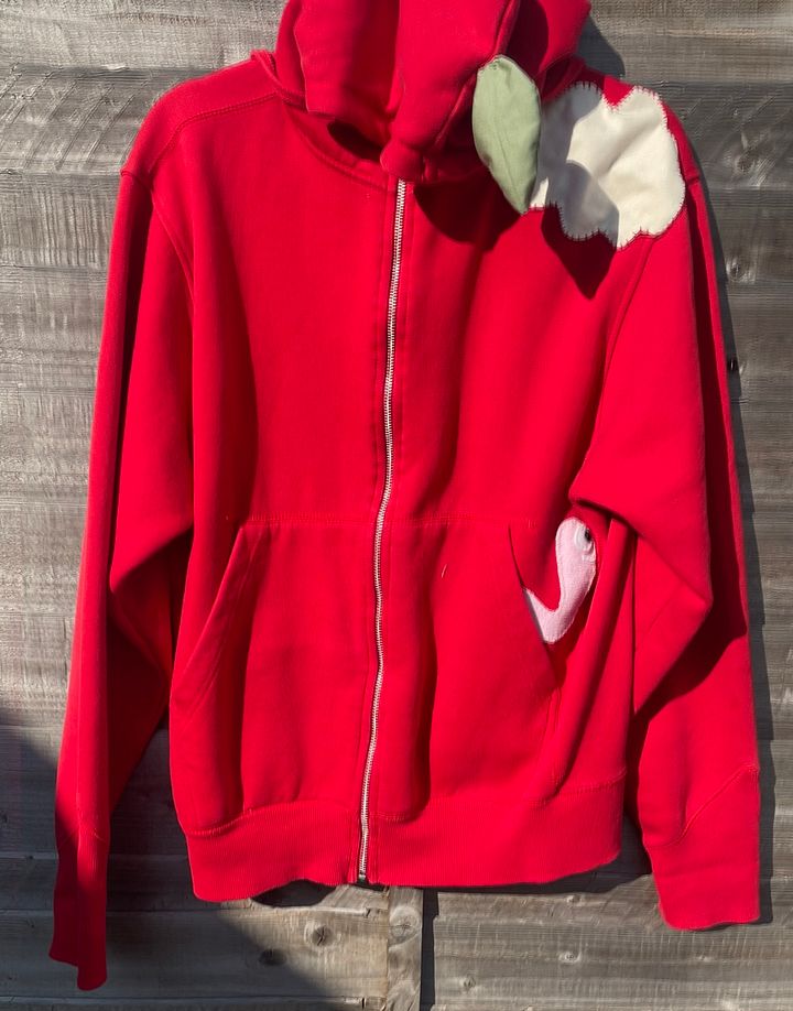apple zip up hoodie product image (1)
