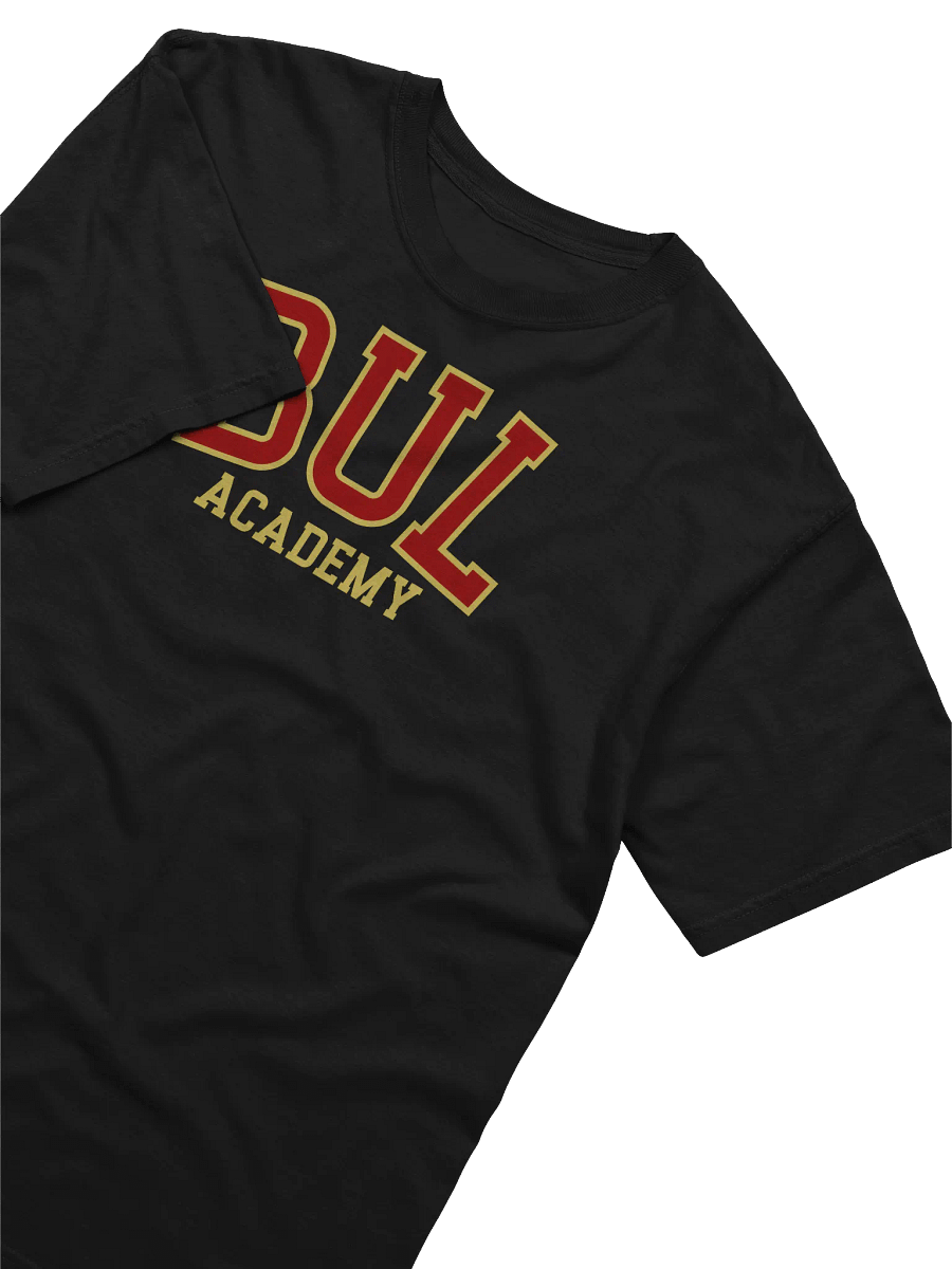 Bul Academy | Comfort Colors Garment-Dyed Heavyweight T-Shirt product image (30)