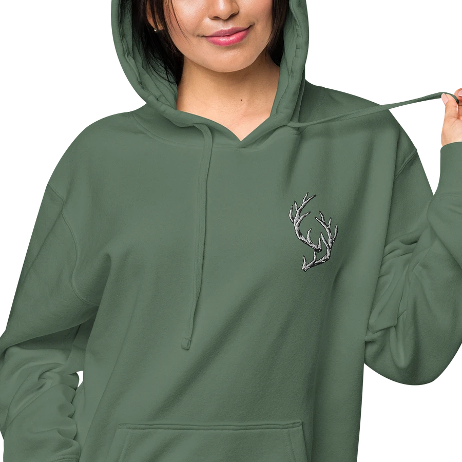 Deer Embroidery Hoodie product image (45)