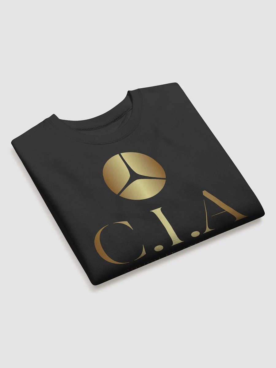 Midnight Black Premium Sweatshirt product image (11)