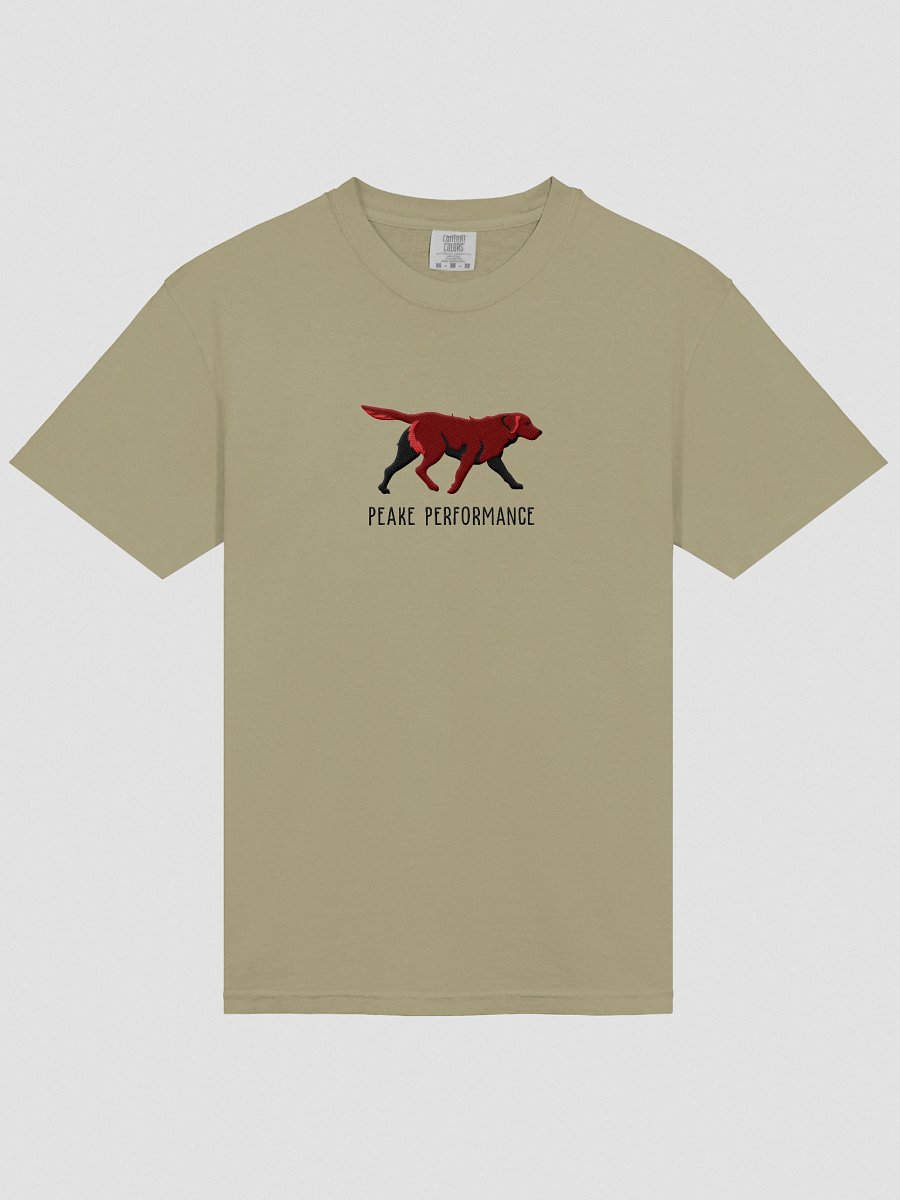 Peake Performance T-Shirt(Embroidered) of a Chesapeake Bay Retriever(Brown) product image (3)