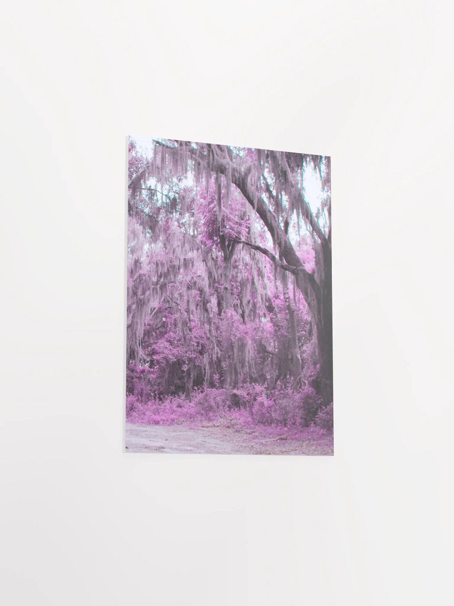 Rain Petrified by an Artist product image (26)