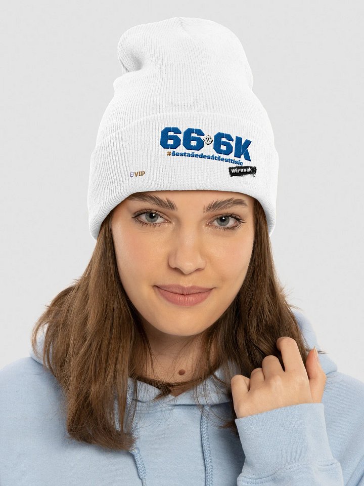 Kulich 66-6K product image (36)
