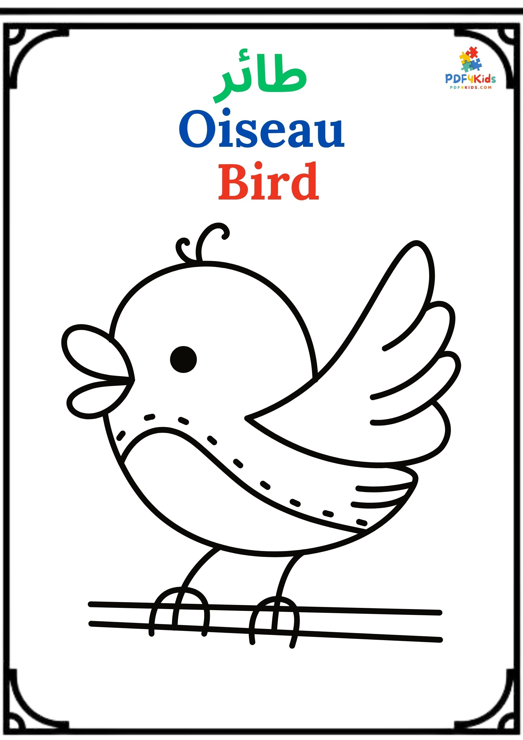 Sea & Land Animals / Coloring book / Pictures & Words 60 Pages product image (2)