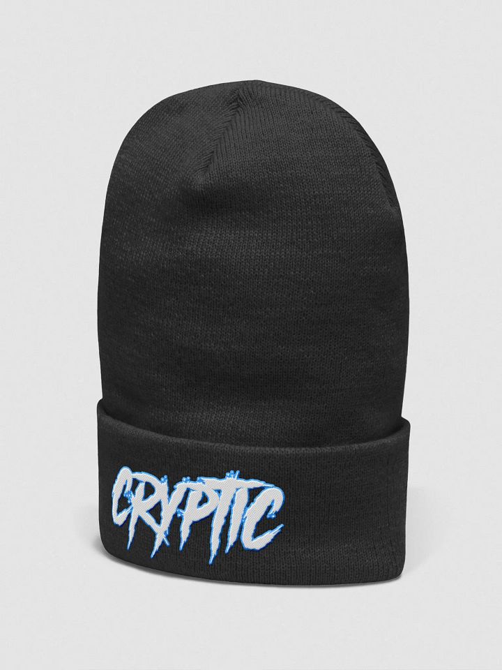 Cryptic Beanie product image (6)