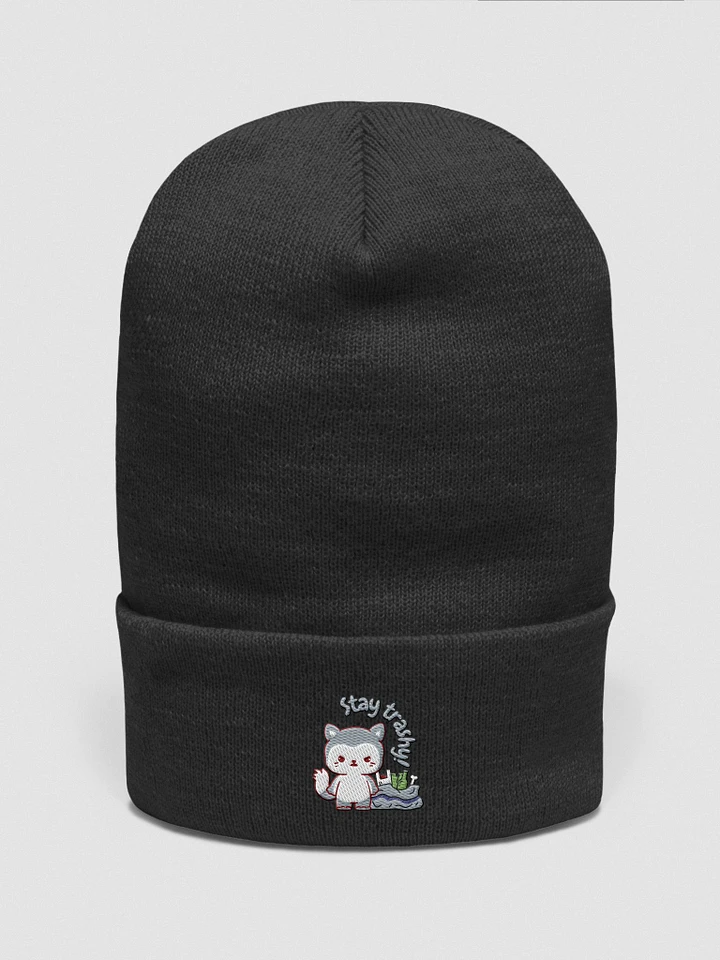 Stay Trashy Beanie product image (7)
