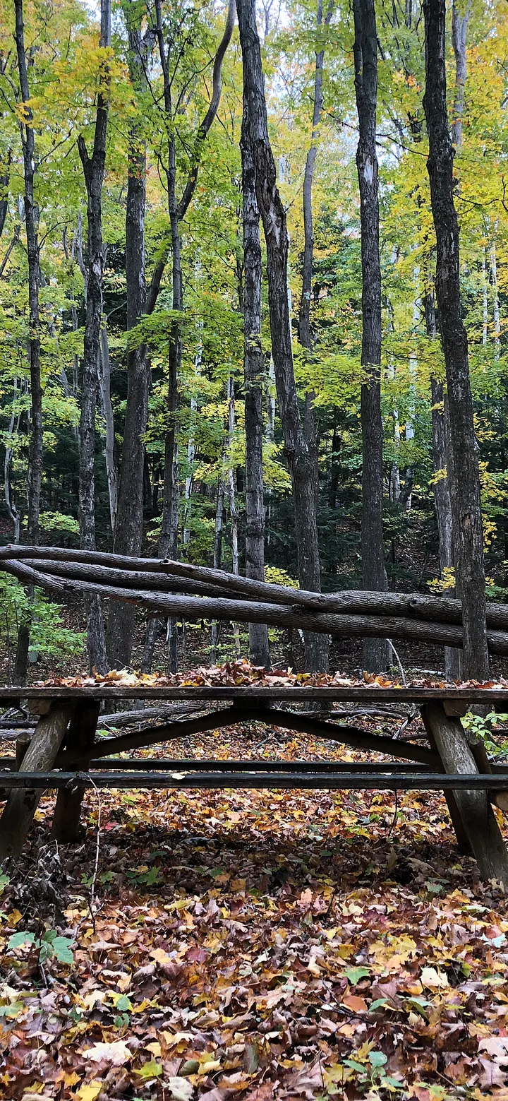 Fall Picnic Table with Leaves Phone Background product image (1)
