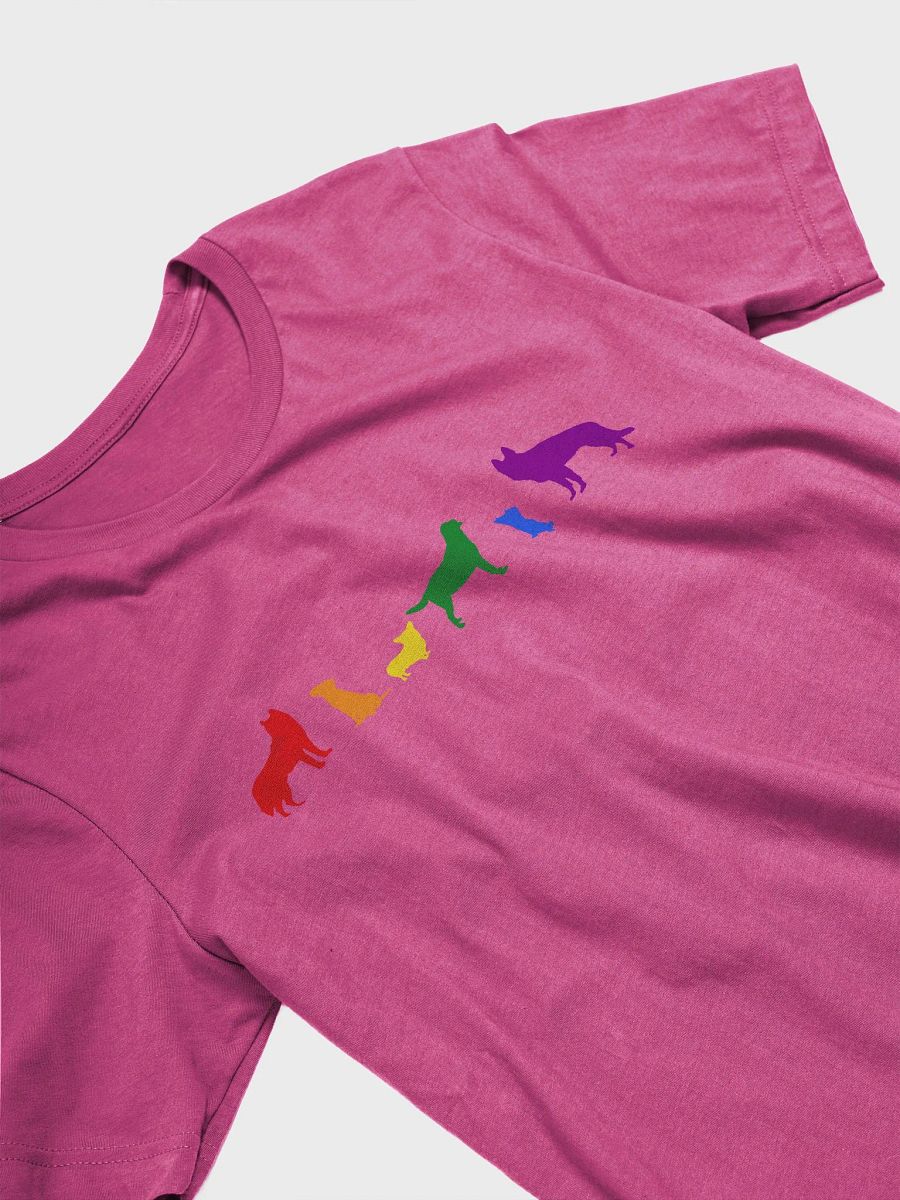 Rainbow Pride Dogs Women's Shirt product image (26)