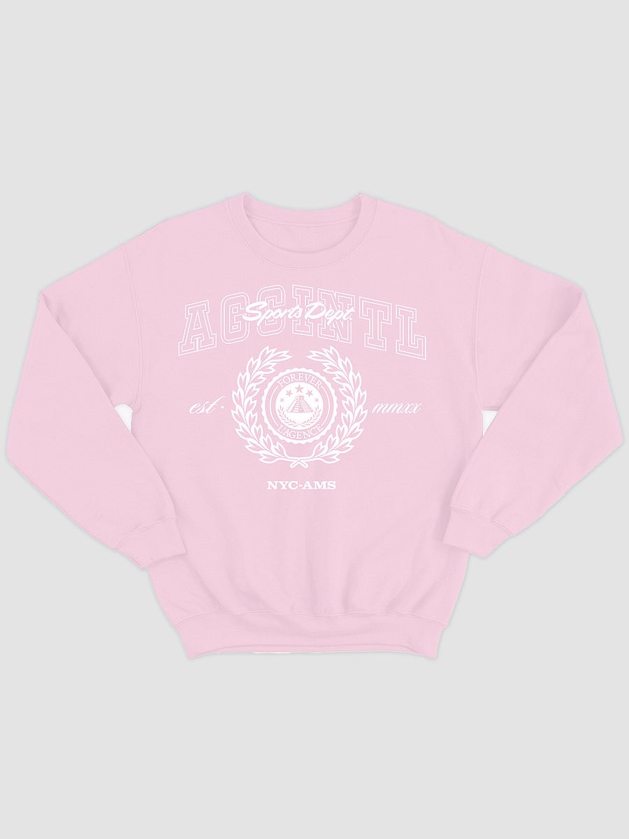 AGC Athletics Sports Crewneck in Light Pink product image (1)