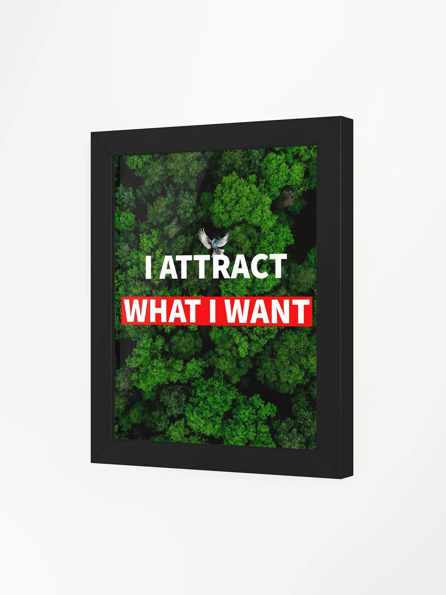 i attract what i want product image (9)