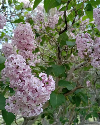 The Maker's fingerprints are all over Creation. ✝️💐