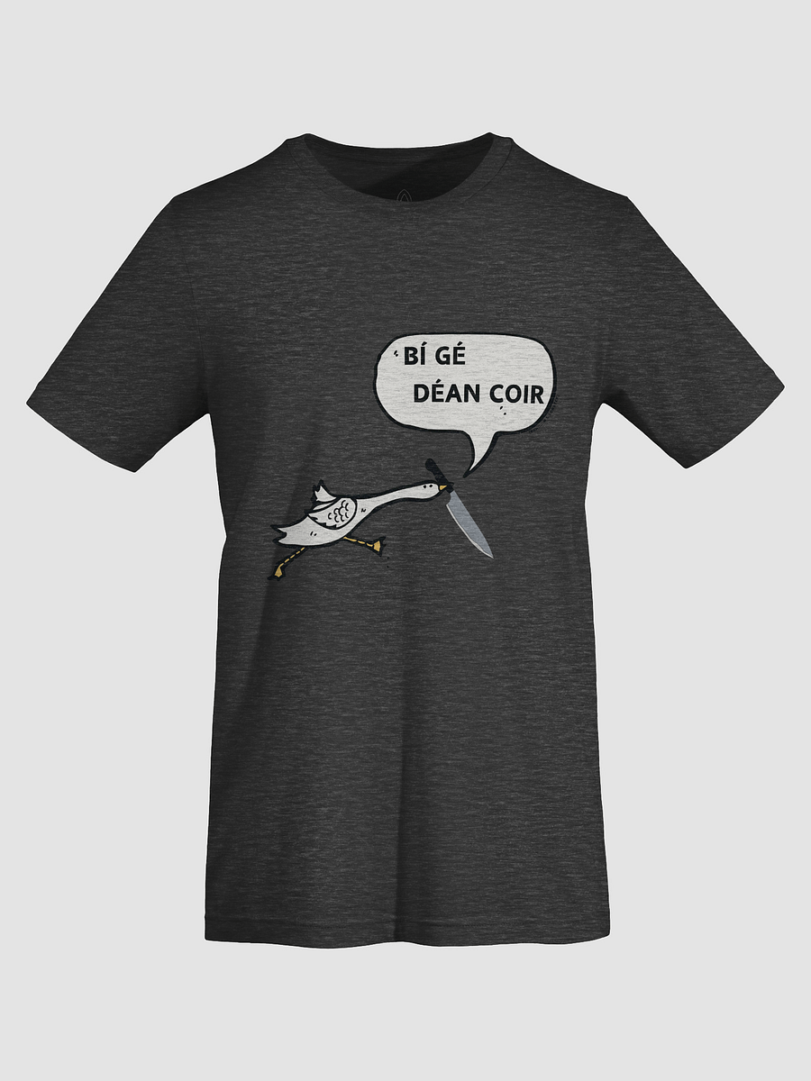Bí Gé Déan Coir T-shirt product image (4)
