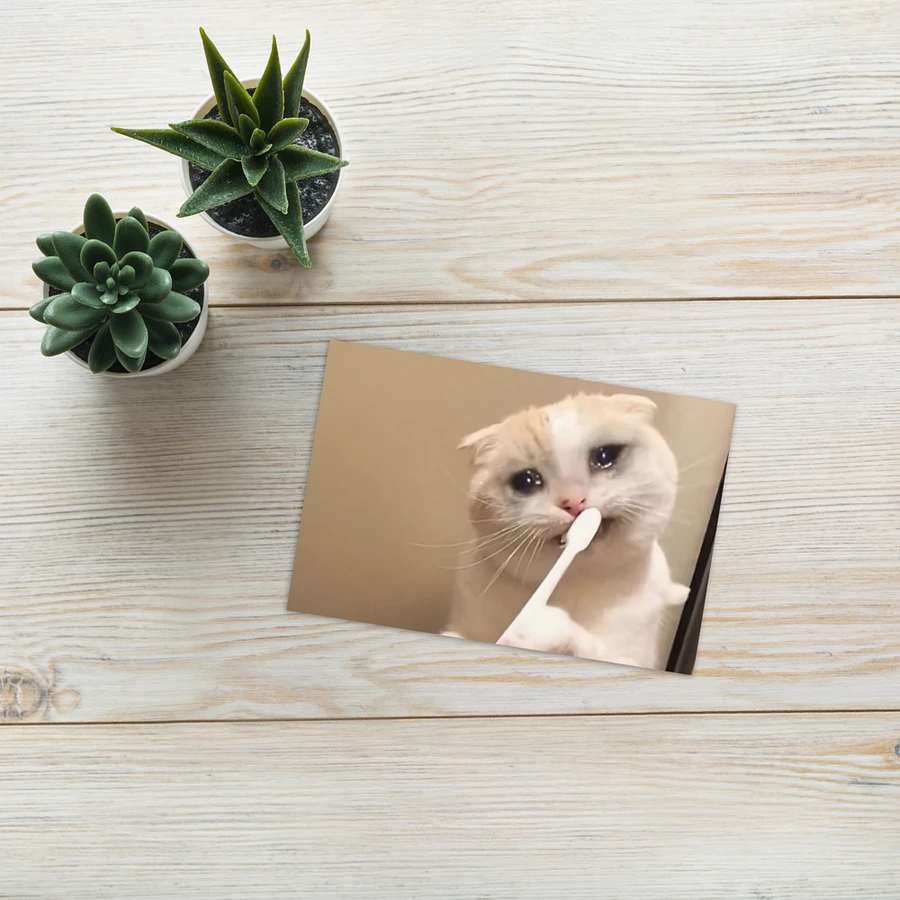 Greeting Card: Meme Cats product image (25)