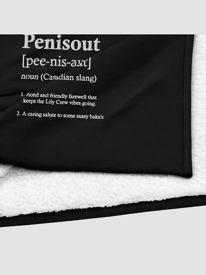 P****out ~Port Authority Embroidered Premium Sherpa Blanket product image (2)