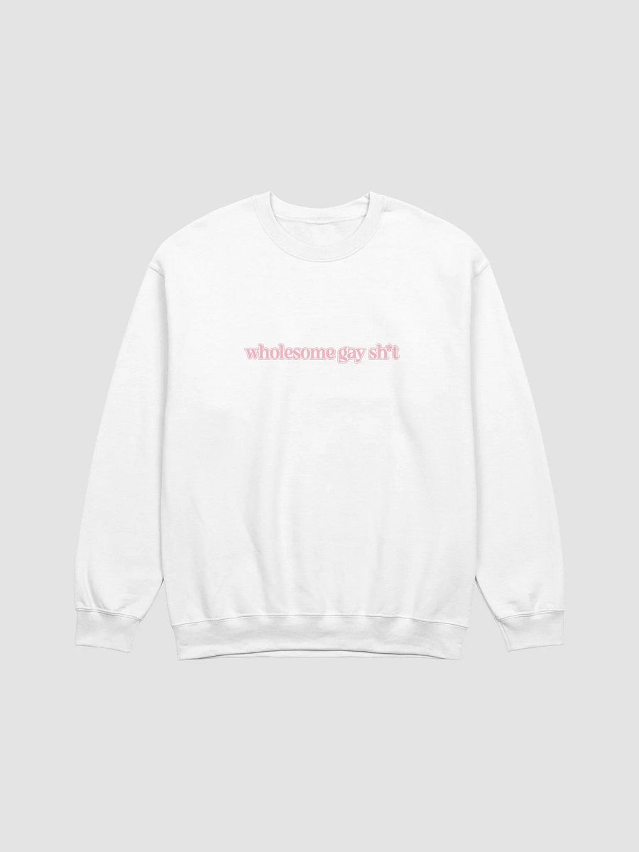 Wholesome Gay Sweatshirt product image (1)