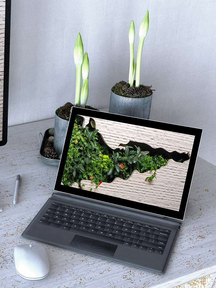 Plant Wall Computer, Phone & Tablet Wallpaper Pack product image (2)