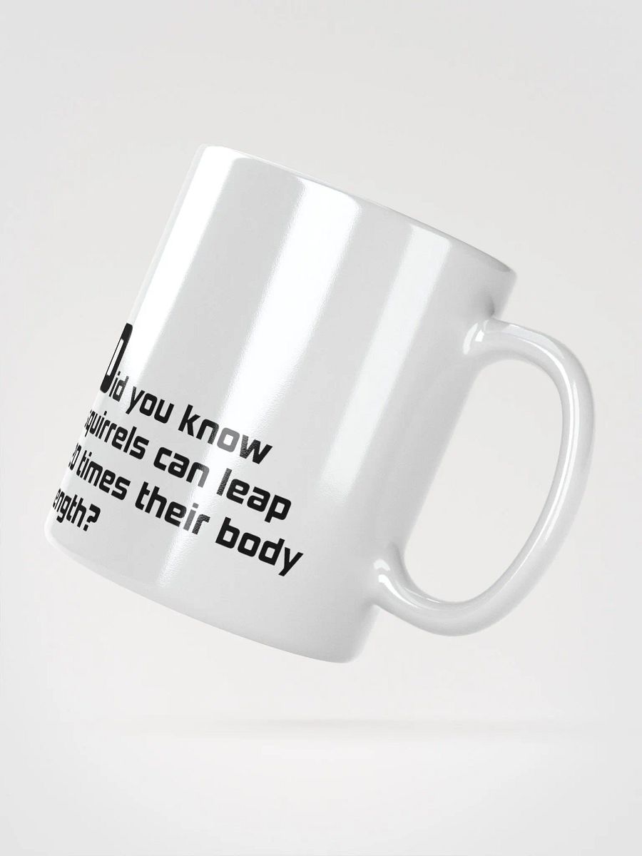 ADH...Didyouknowaboutsquirrels Mug product image (4)