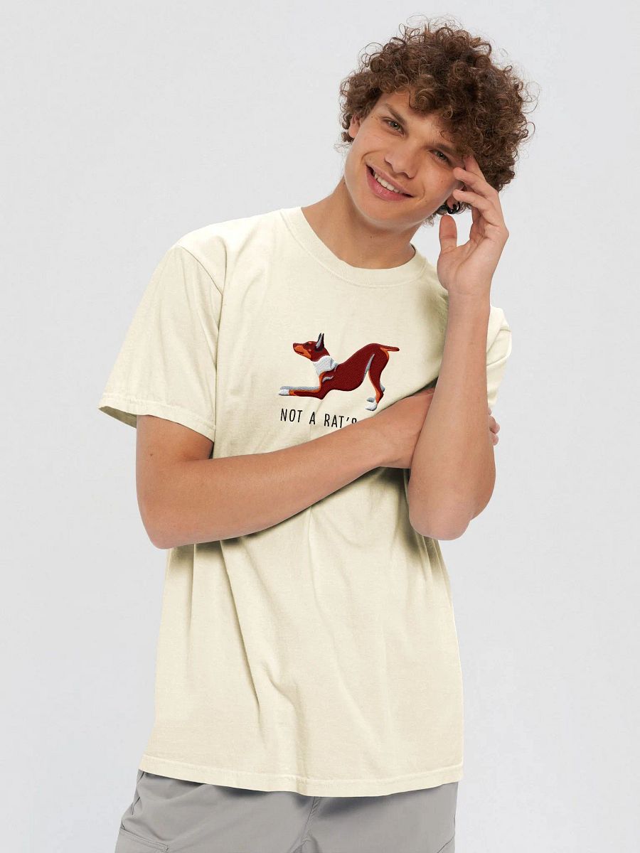 Not a Rat's Ass T-Shirt(Embroidered) of a Rat Terrier(Brown & Tan) product image (8)