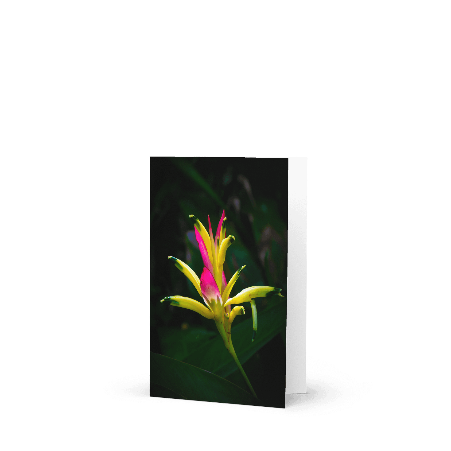 Radiant Bloom Greeting Card product image (1)