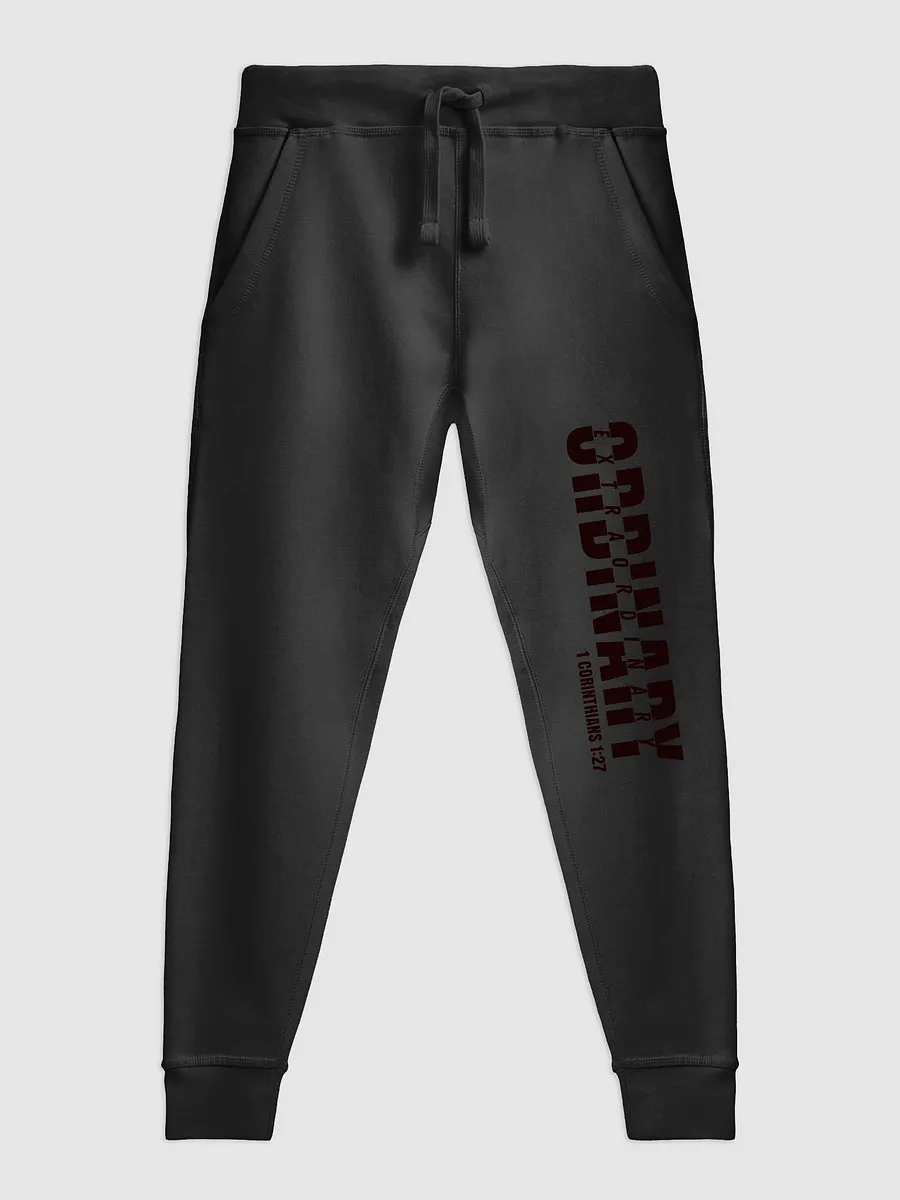 The Ordinary Joggers product image (2)