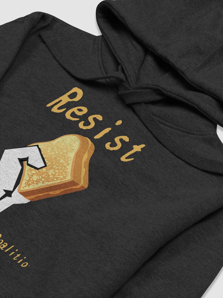 Christian Conspiracy Coalition (Resist Edition) - Unisex Premium Hoodie product image (3)