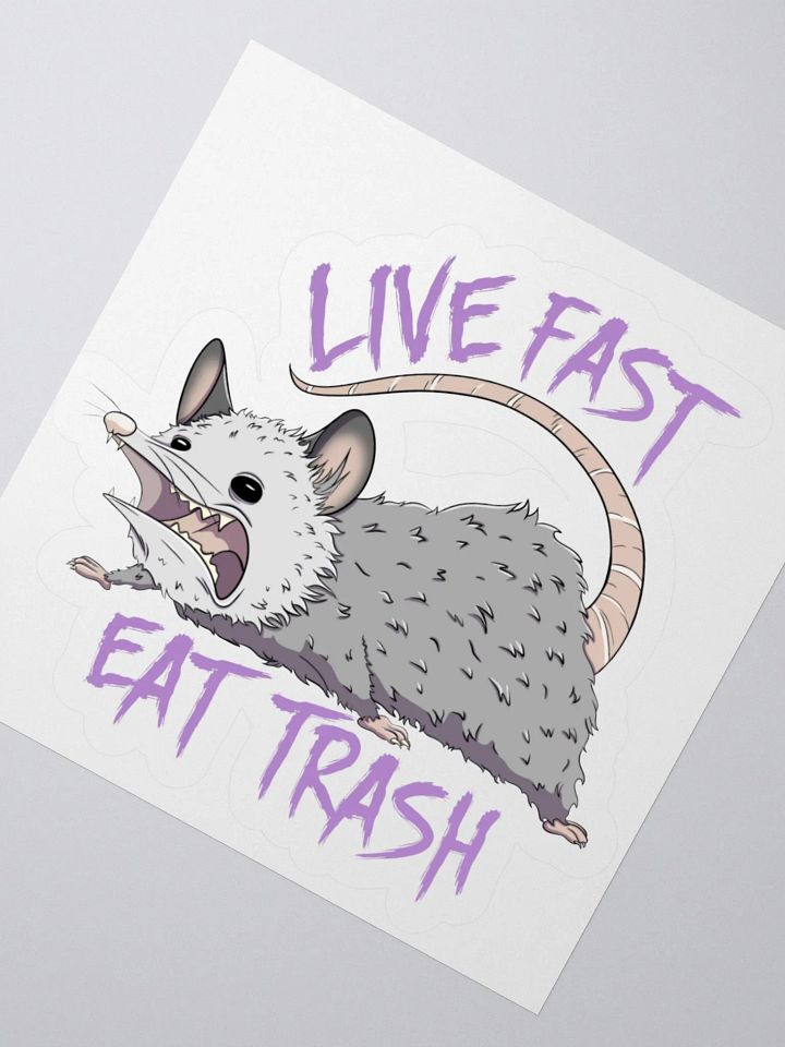 Live Fast Eat Trash Sticker product image (2)