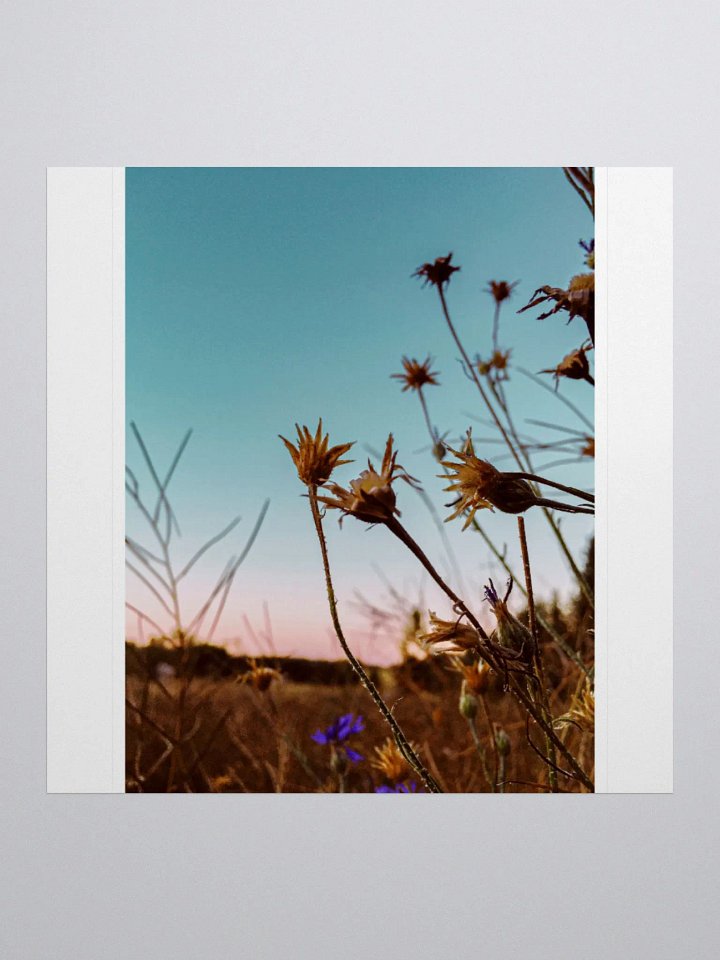 Wildflowers at Sunrise Sticker product image (1)