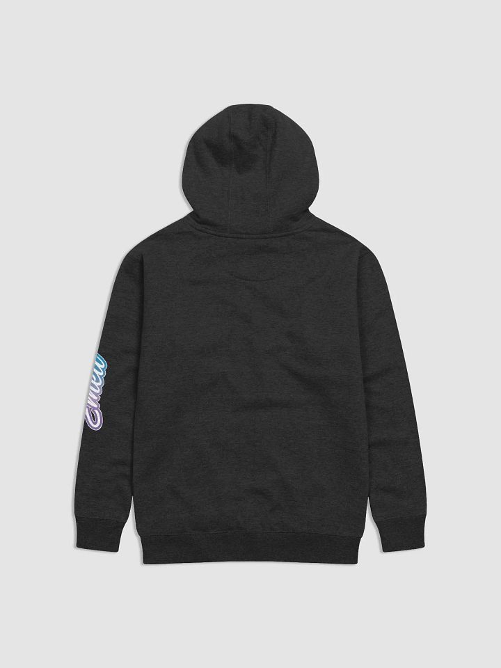 ''10/10'' Sweat à capuche premium unisexe product image (2)