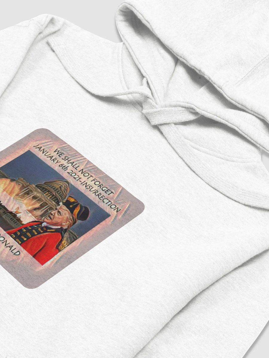 Capitol Insurrection Tribute Hoodie product image (69)