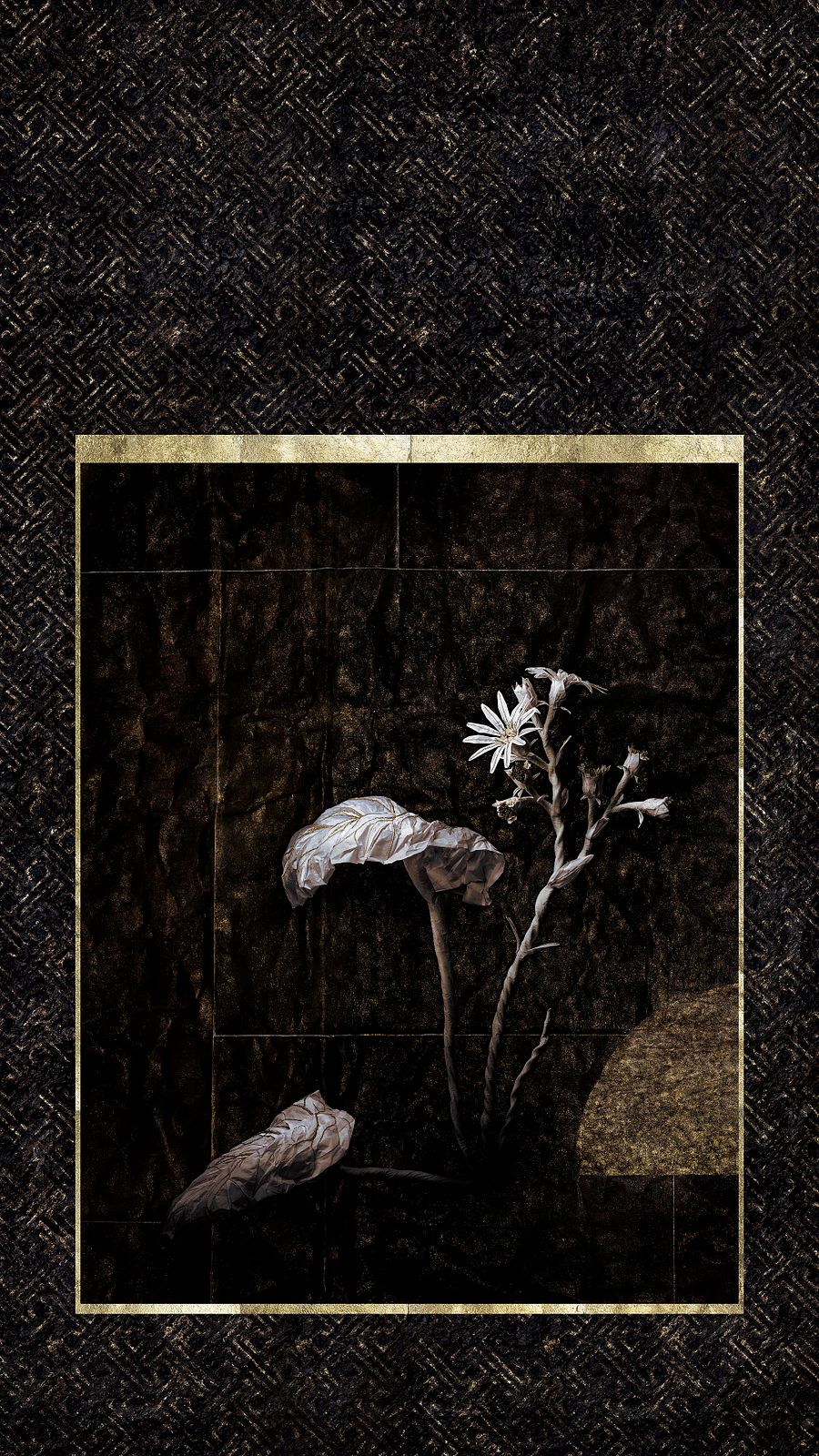 Koringami - Winter: Tsuwabuki product image (1)
