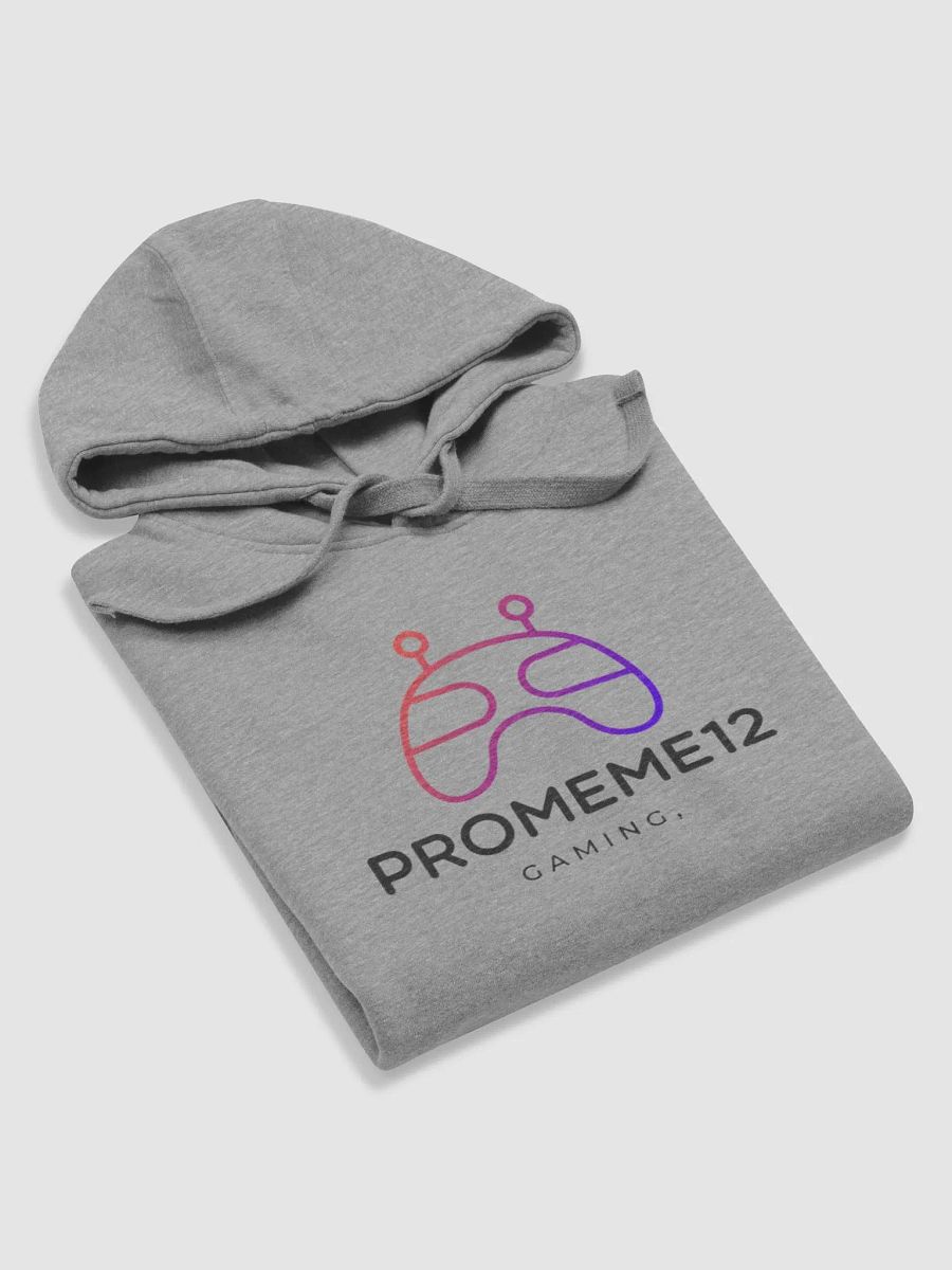 PROMEME hoodie product image (6)