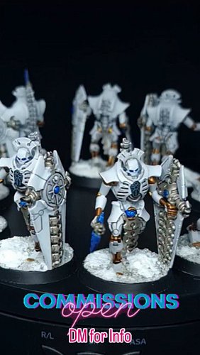 All 10 of the Lychguard for Chris' Necron collection!

If you'd like to commission me, check my pinned posts!
Https://Roll1To...