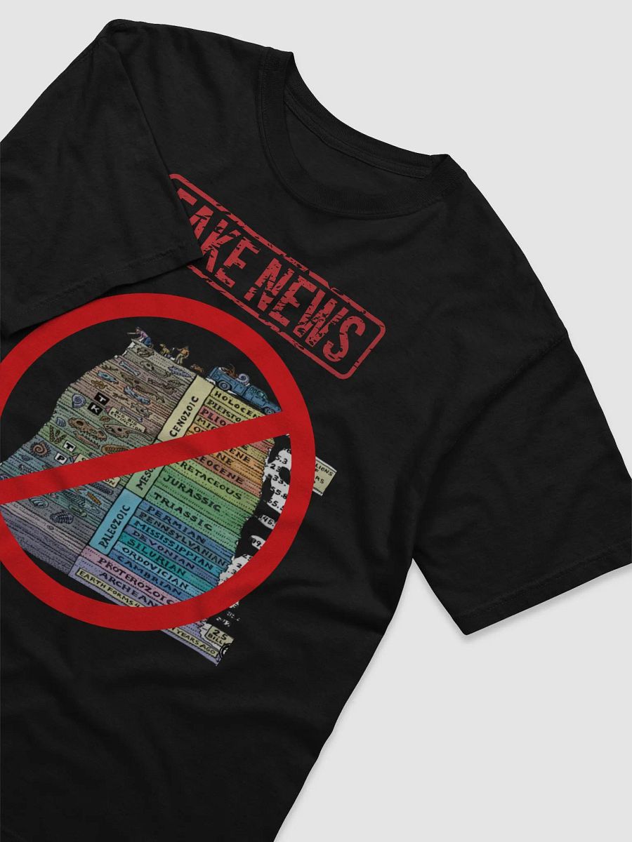 FAKE NEWS product image (3)