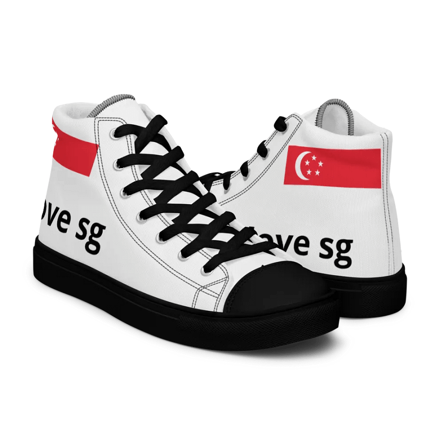 Singapore product image (9)