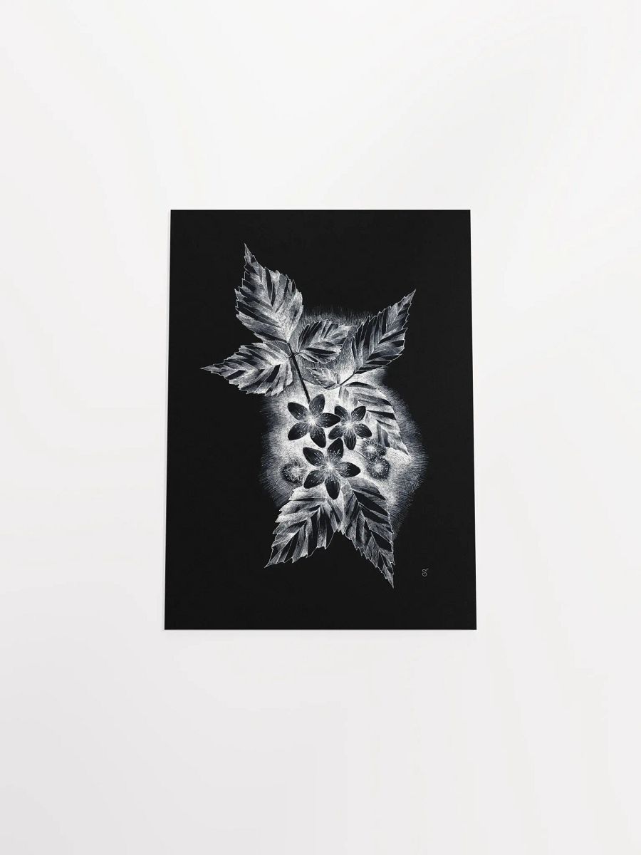 Botanical Bliss Matte Poster - Dark Jasmine product image (4)