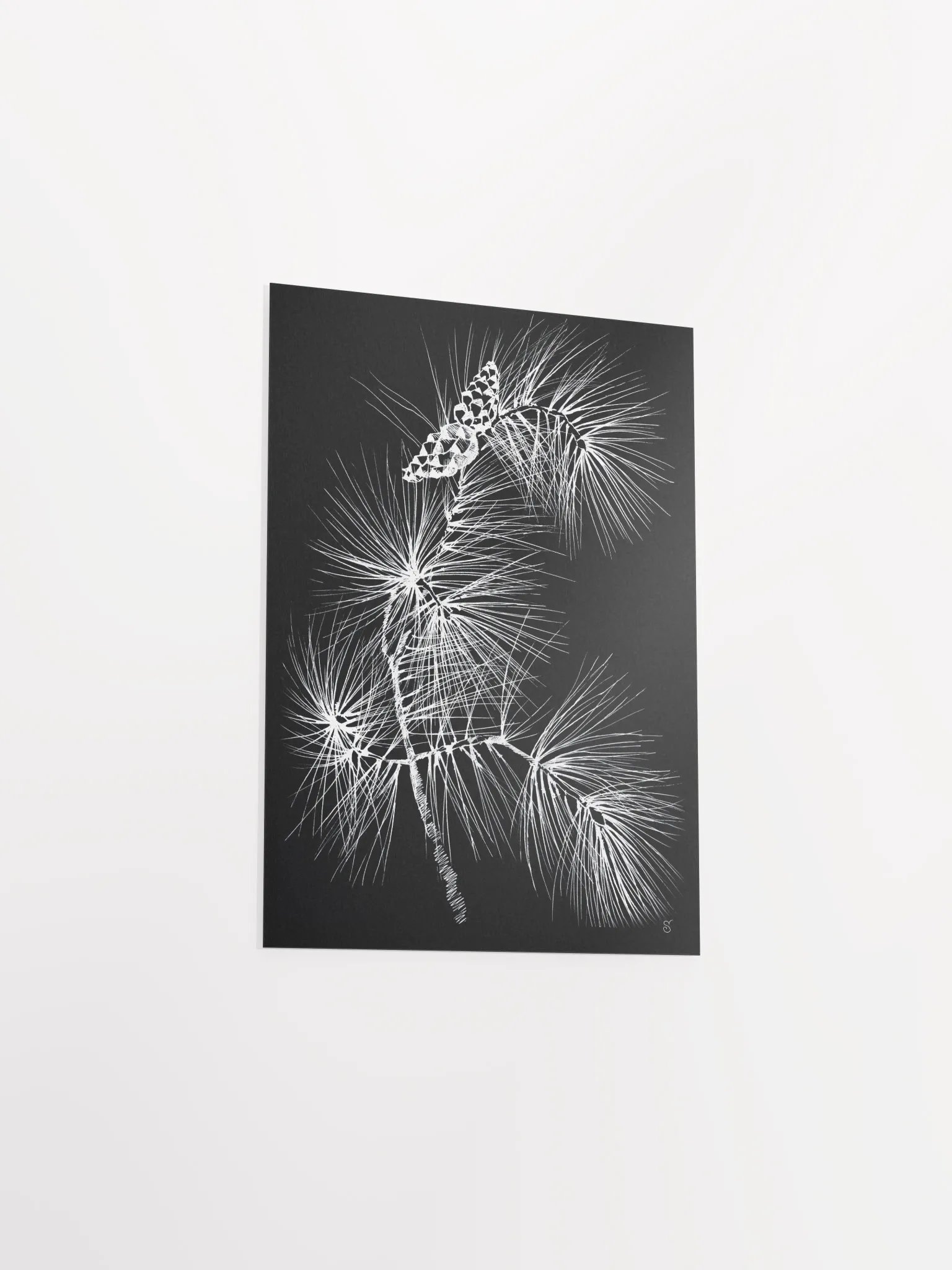 Vibrant Matte Paper Poster - Pine Branch and Cones product image (3)