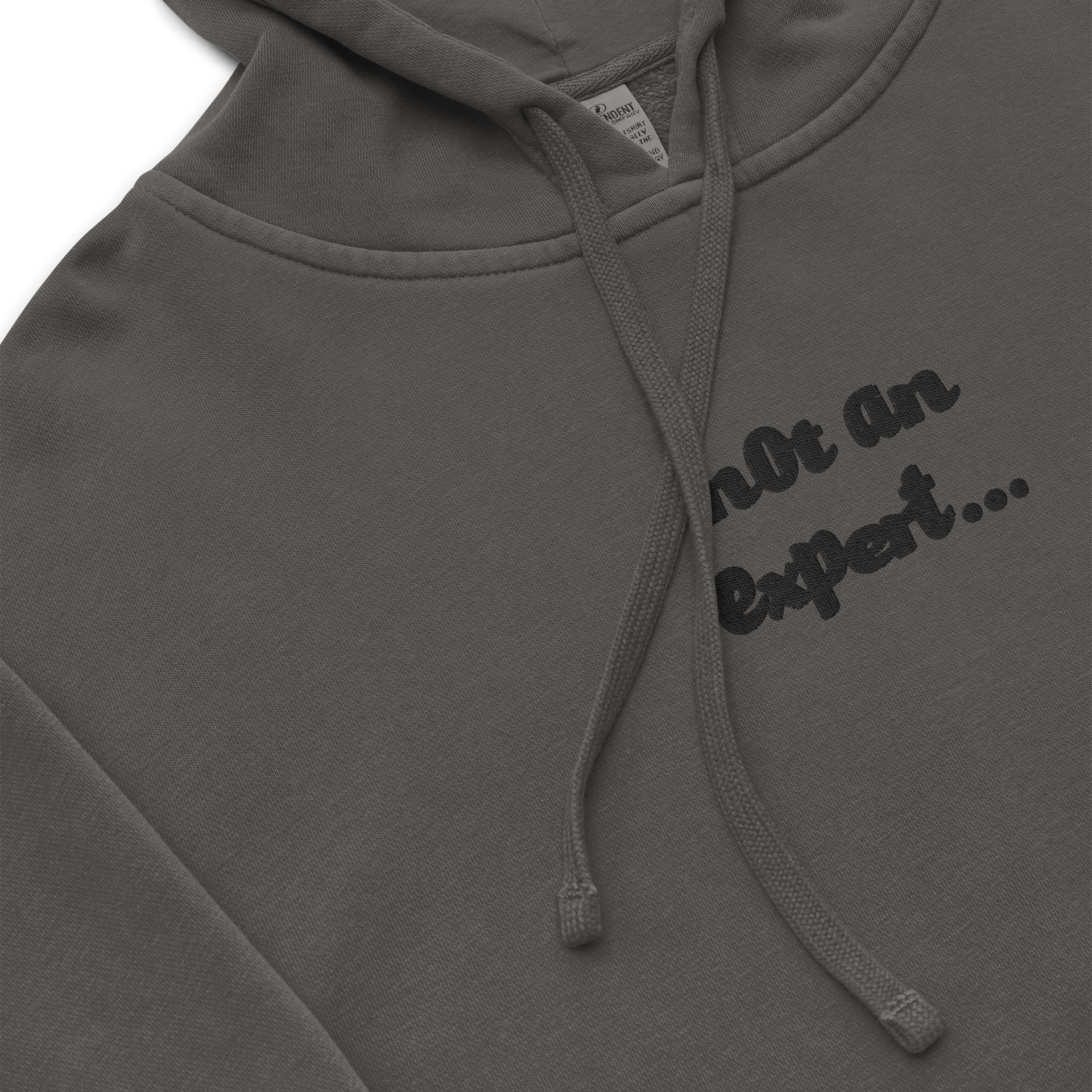 Stealth "not an expert..." Official Heavy Weight Hoodie product image (12)