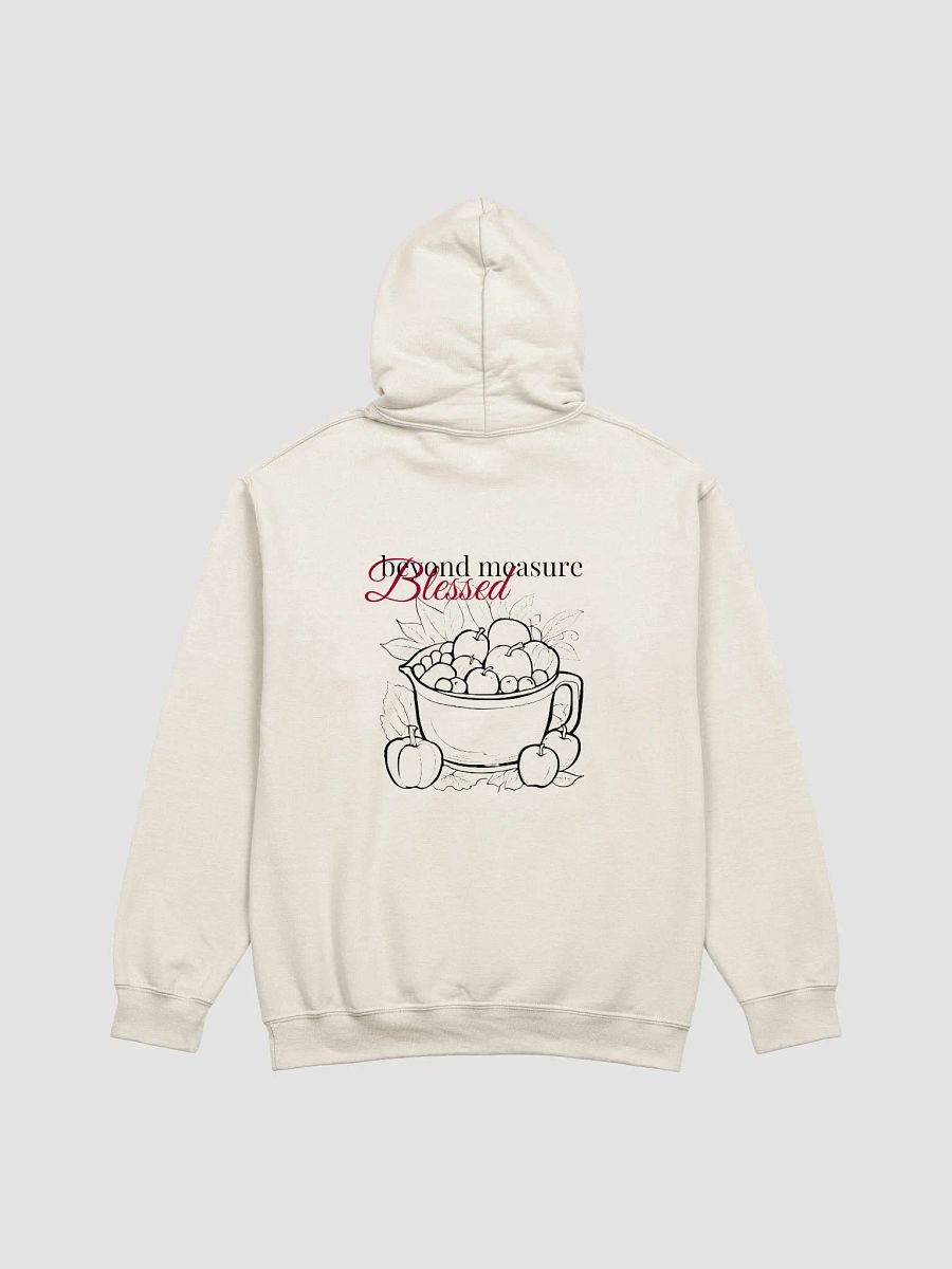 Blessed Beyond Measure Hoodie product image (4)