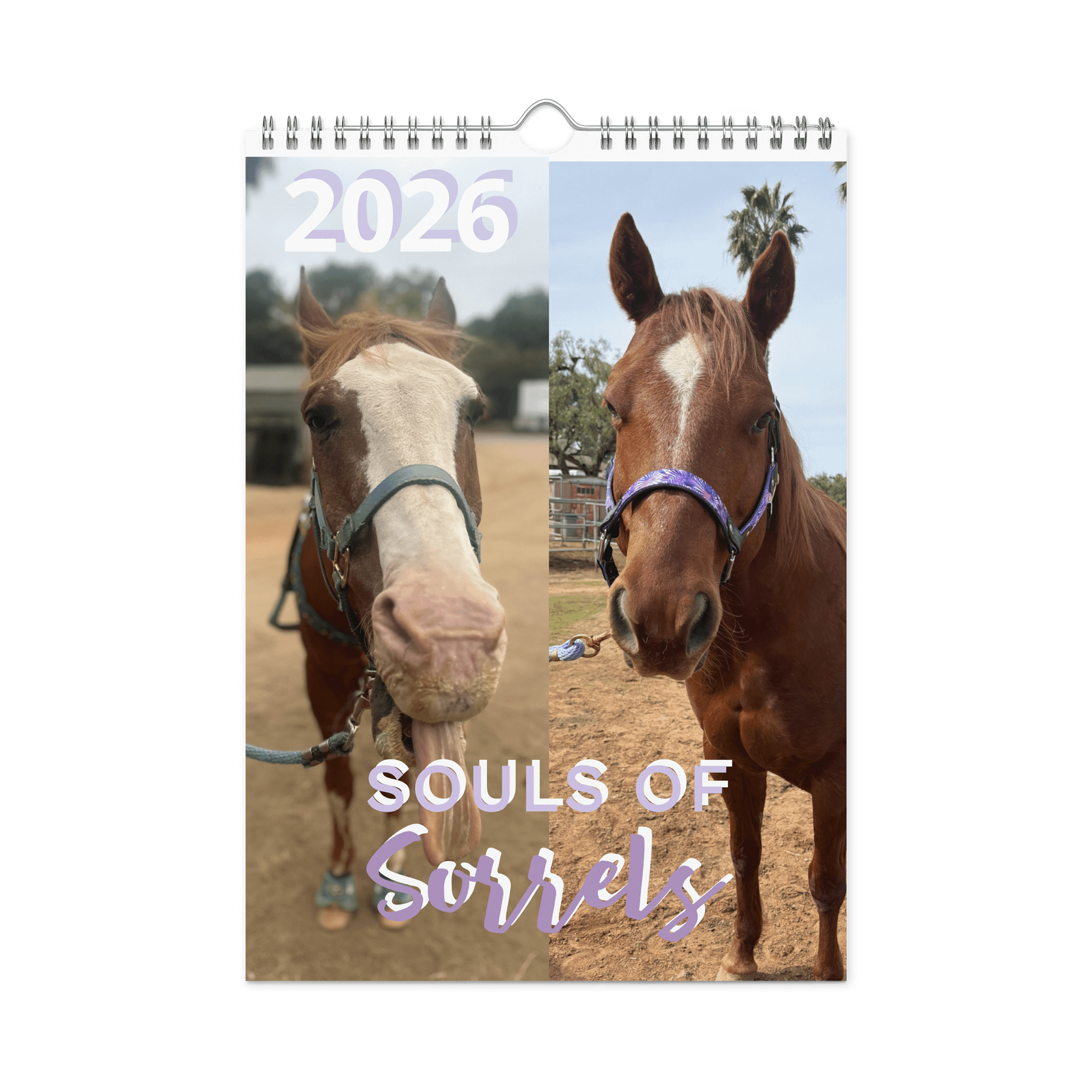 2026 Souls of Sorrels Wall Calendar product image (3)